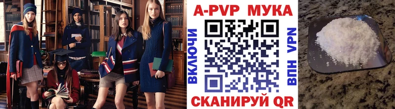 Alfa_PVP СК Владивосток