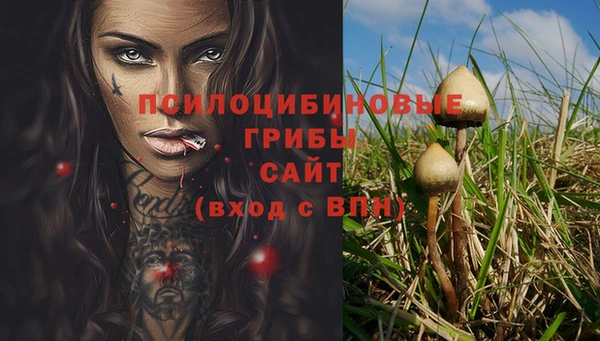 бошки Алексин