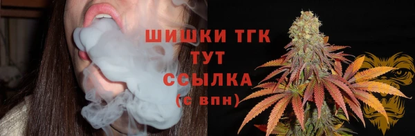 бошки Алексин