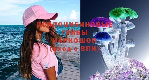 бошки Алексин