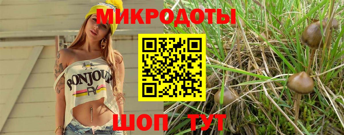 Псилоцибиновые грибы GOLDEN TEACHER  Галлюциногенные грибы GOLDEN TEACHER  Вход с VPN  Владивосток 